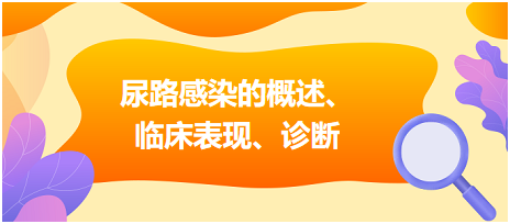 尿路感染的概述、臨床表現(xiàn)、診斷