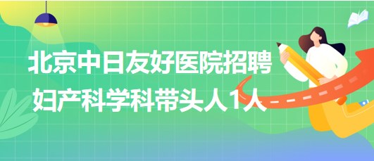 北京中日友好醫(yī)院2023年招聘婦產科學科帶頭人1人