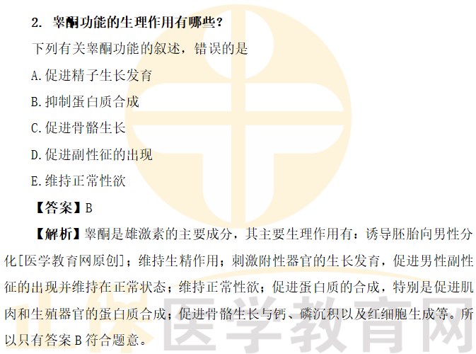 睪酮功能的生理作用有哪些？
