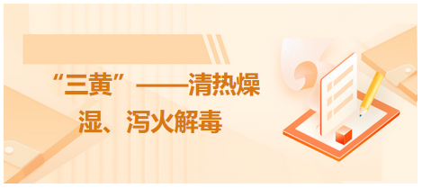 “三黃”——清熱燥濕、瀉火解毒