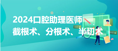 口腔助理醫(yī)師筆試考點(diǎn)：牙周病學(xué)—截根術(shù)、分根術(shù)、半切術(shù)