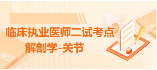 解剖學-關節(jié)